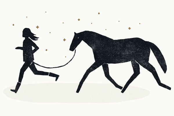 Innerbloom Horsemanship Illustration Horse Training