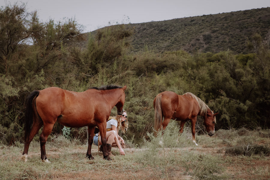 Innerbloom Horsemanship Holistic Horse Farm South Africa Experiential Learning