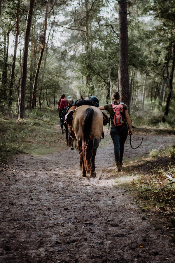 Innerbloom Horsemanship Adventures Horse Training - Trektocht