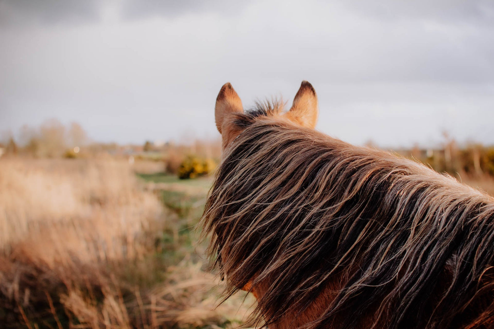 Think about what we normalise