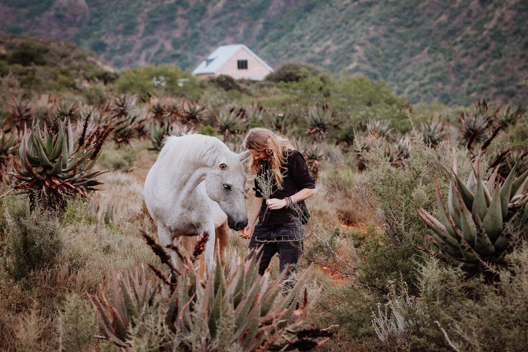 When good intentions aren't enough