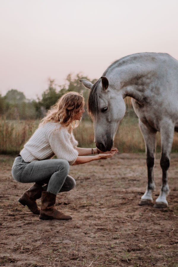 Innerbloom Horsemanship Loes van Dijk Spanish Horse Human Bond