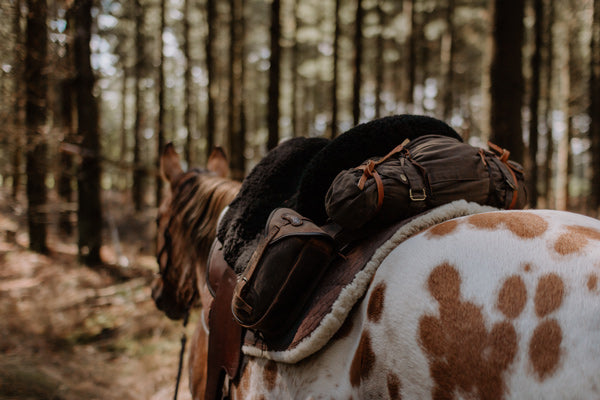 Innerbloom Horsemanship – Trektocht te paard – Brabantse Kempen
