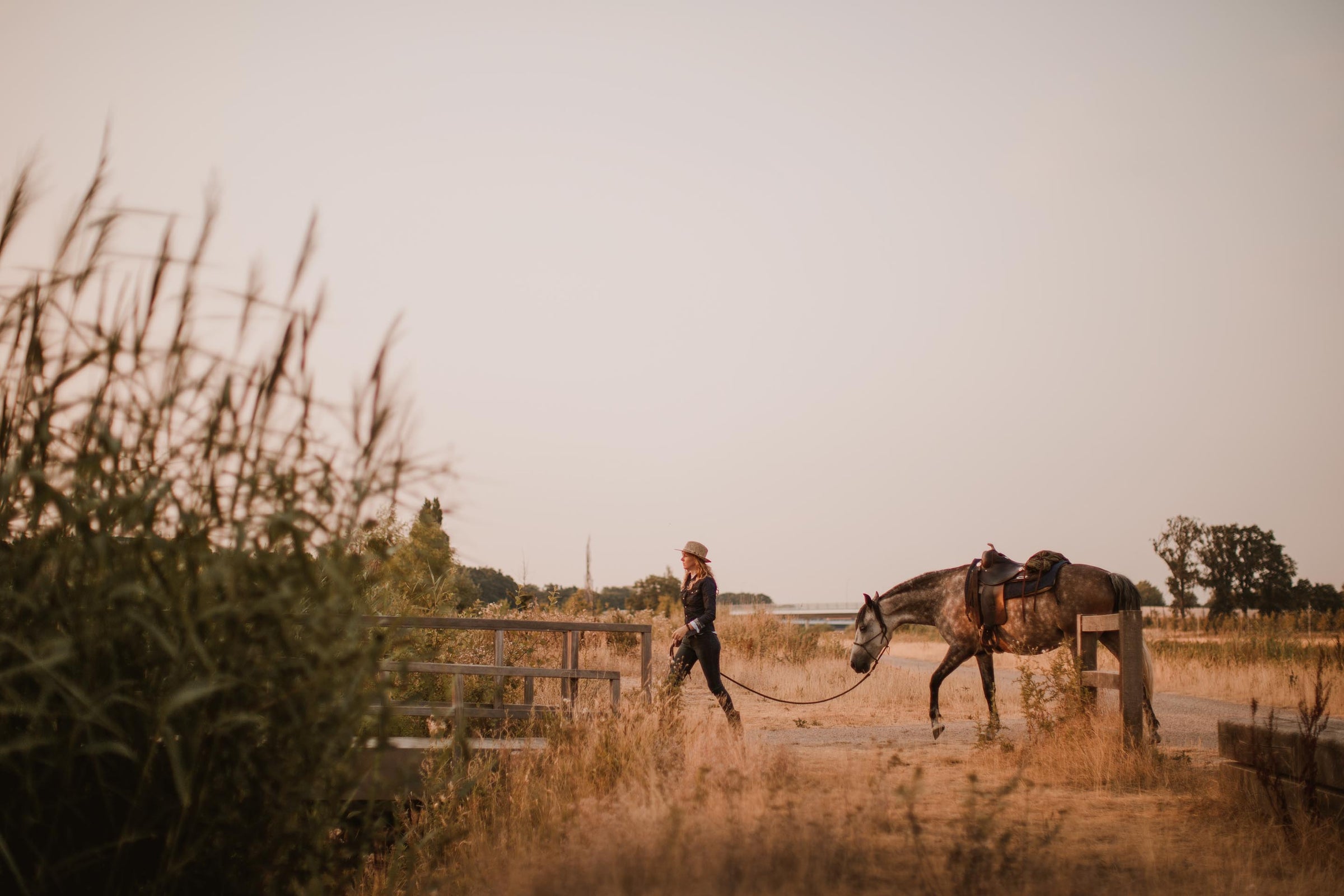 Innerbloom Horsemanship Loes van Dijk Biography Spanish horse