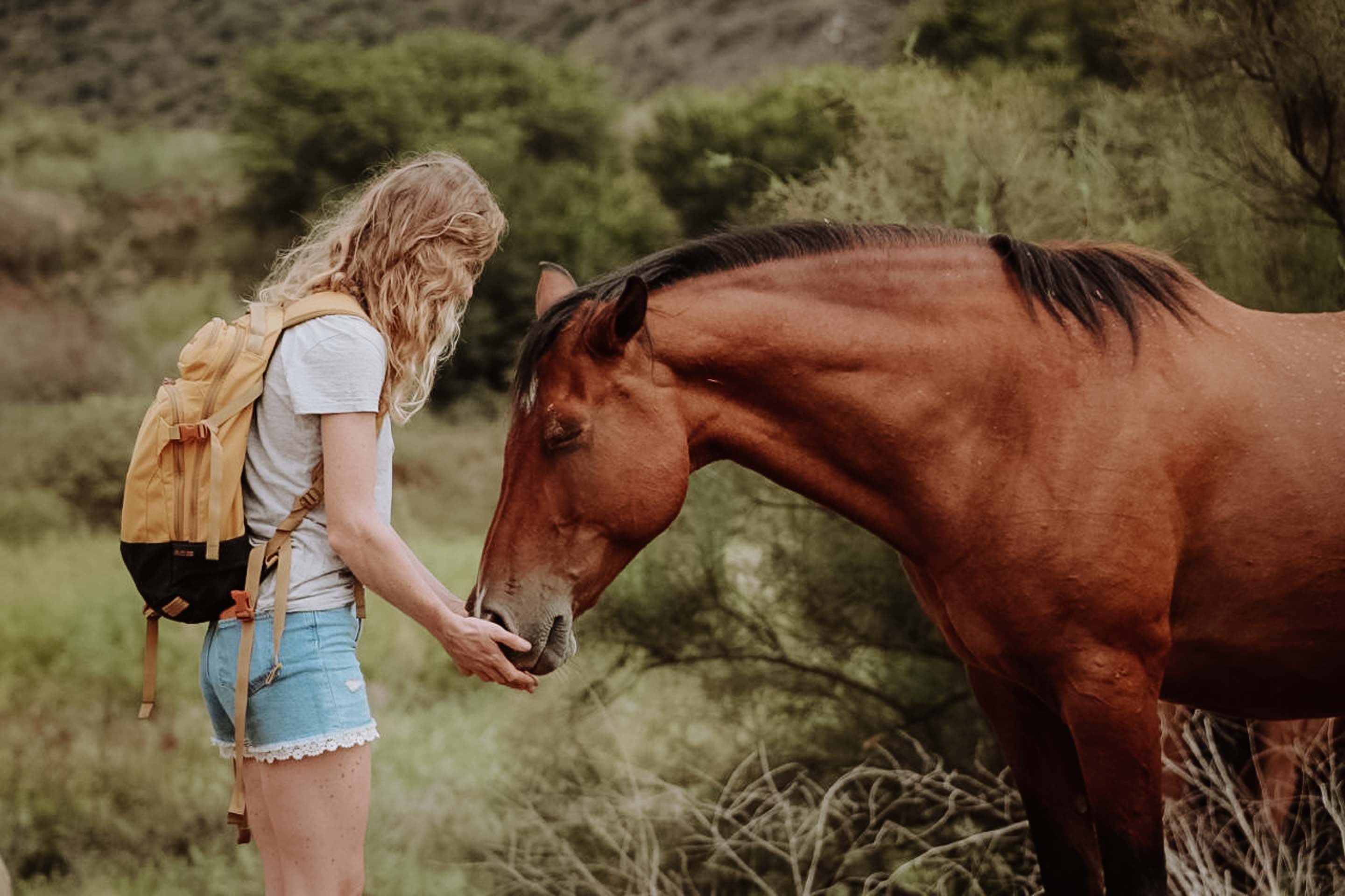 Innerbloom Horsemanship - horse trainer South Africa Holistic Horse Farm - Loes van Dijk Horse human bond