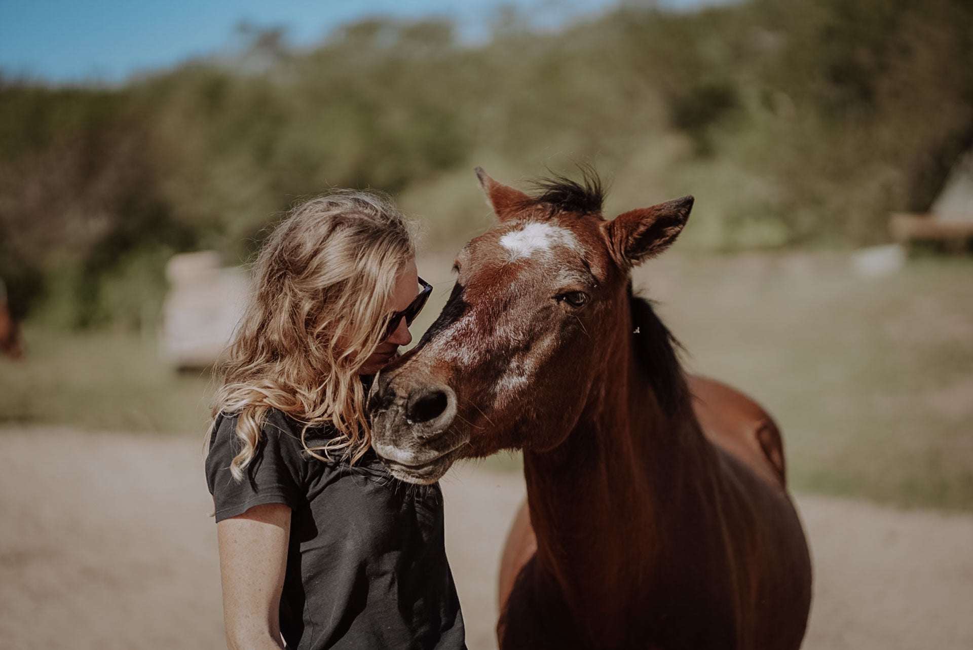 Innerbloom Horsemanship Horse Trainer Holistic Horse Farm South Africa - Loes van Dijk