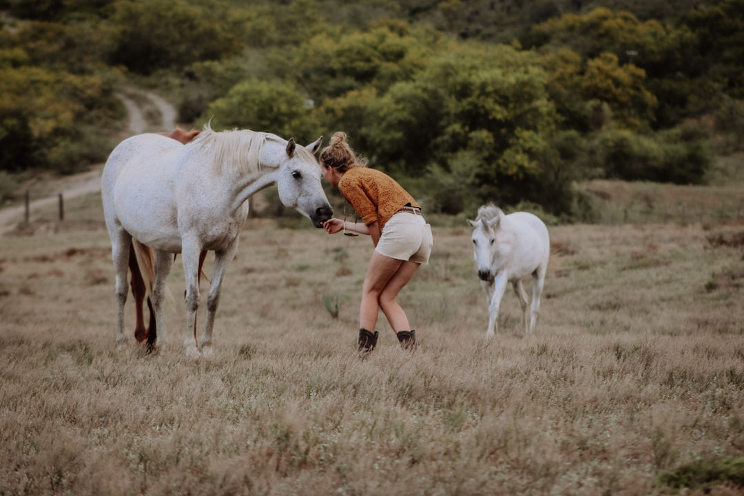 Innerbloom Horsemanship Loes van Dijk in South Africa at Holistic Horsefarm